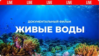 Живые воды. Разумный замысел в океанах Земли. Документальный фильм | Мифы эволюции 🔴 Live