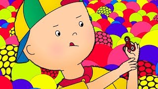 Caillou en Français | Caillou et le Nouveau Jouet | dessin animé | dessin animé pour bébé