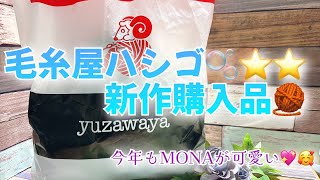 【購入品】毛糸屋ハシゴ🫧⭐️⭐️新作購入品🧶今年もMONAが可愛い💖🥰【ユザワヤ】