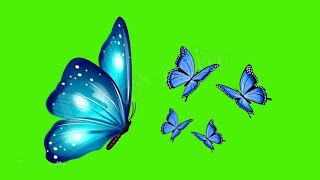 Butterfly green screen cartoon l copyright freel nocopyright | cartoon Cartoon and Greenscreen