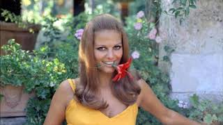 Italian Bombshell of the 1960s Fascinating Beauty of Young Claudia Cardinale