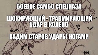 Боевое Самбо Спецназа Шокирующий-Травмирующий удар ногой в колено, голень Вадим Старов