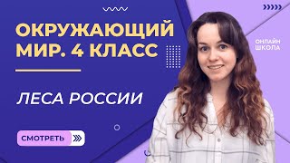 Леса России. Видеоурок 8. Окружающий мир 4 класс