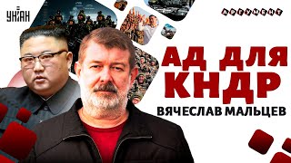 Солдат КНДР кинули в мясорубку! ИМЯ преемника Путина. Переворот в Москве. Кавказ закипает / Мальцев