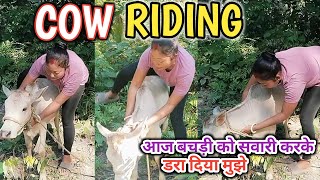 cow riding | riding | riding cow ♥️