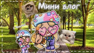 🍪°Мини влог с Анитой и Тео°🐻