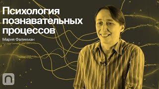 Психология познавательных процессов – курс Марии Фаликман / ПостНаука