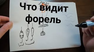 Форель. Как продлить клев. Теория.