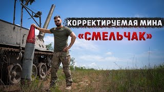 Высокоточная корректируемая мина 