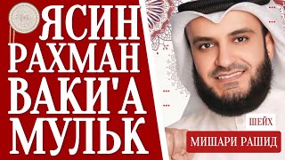 Мишари Рашид красивое чтение Ясин.Рахман Ваки'а,Мульк слушайте #quranuz #yasin