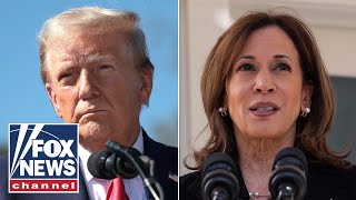 Trump takes lead on VP Harris, top pollster reveals 'gut' prediction