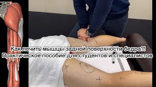 Как лечить мышцы задней поверхности бедра?! Миопрессура по Дубуку