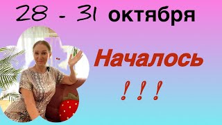 🔴 28 - 31 октября 🔴 Началось !!! …. задав….