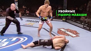 Так Вырубает в UFC Только Мастер Карате - Стивен Томпсон