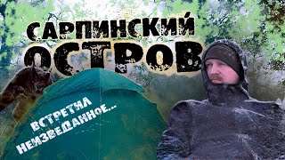 Остров Сарпинский, экспедиция по Южной части острова #походныемысли #Волгоград Походные мысли