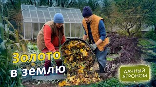 БЕСПЛАТНО Превращаем опавшие листья в удобрение