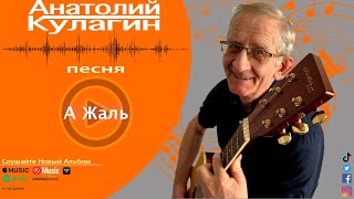 Анатолий Кулагин - А Жаль