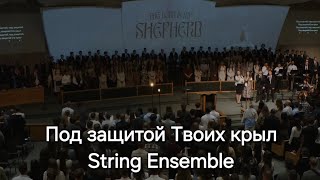 Под Защитой Твоих Крыл -  String Ensemble -Общее пение | Conference 2024 [The Lord is My Shepherd]