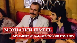 Мохнатый шмель (фрагмент из кинофильма 