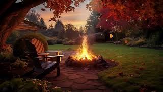 fire in the garden  4k