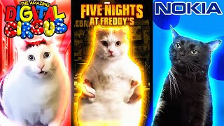 Meme Cats: Different Universes