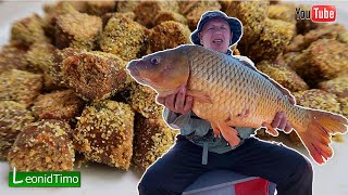 Лучшего Теста для ловли Карпа и Карася пока не Существует 🐟 РЕЦЕПТ