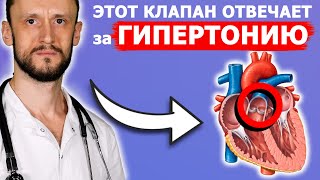 Повышено давление? 👉 Проверьте этот клапан...