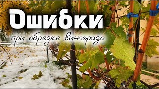 Основные ошибки при обрезке виноградного куста на зиму / Обрезка винограда