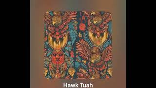 Hawk Tuah / Do you get me?