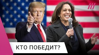 Выборы в США: Трамп vs Харрис. За кого проголосуют американцы?