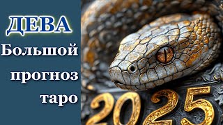 ДЕВА - ТАРО ПРОГНОЗ 2025 год - ГОДОВОЙ ПРОГНОЗ, ГОРОСКОП на 12 СФЕР ЖИЗНИ - НОВОГОДНИЙ ПРОГНОЗ 2025