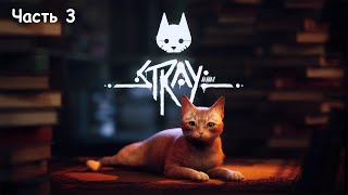 Stray. Приключение кота без сапог. Часть 3. Нашли Дока и оружие против зурков