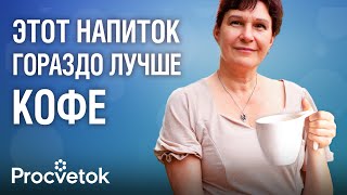 ЧТО ТВОРИТ ЦИКОРИЙ, если пить его каждый день! Рецепт целебного напитка на замену кофе