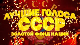 ЛУЧШИЕ ГОЛОСА СССР! Золотой фонд нации | Любимые советские песни @BestPlayerMusic