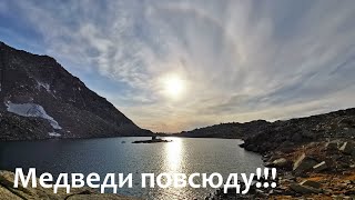 Медведи спутали все планы! Тургусунский хребет