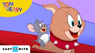 Tom și Jerry | Aventuri de iarnă | Cartoonito